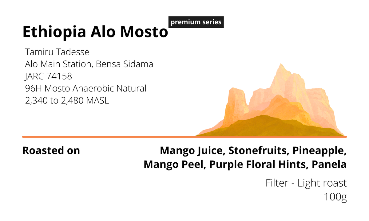 Ethiopia Alo Mosto