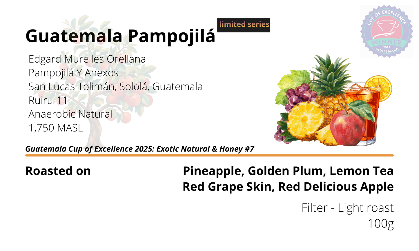 Guatemala Pampojilá