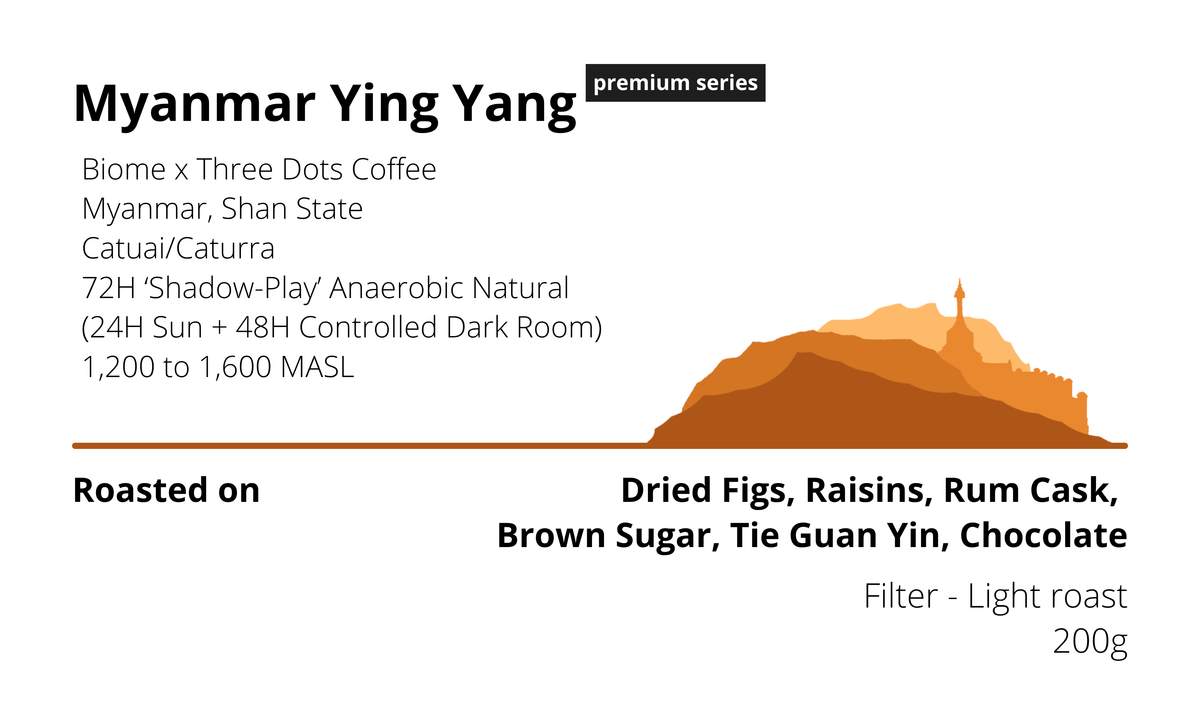 Myanmar Ying Yang (Filter roast)