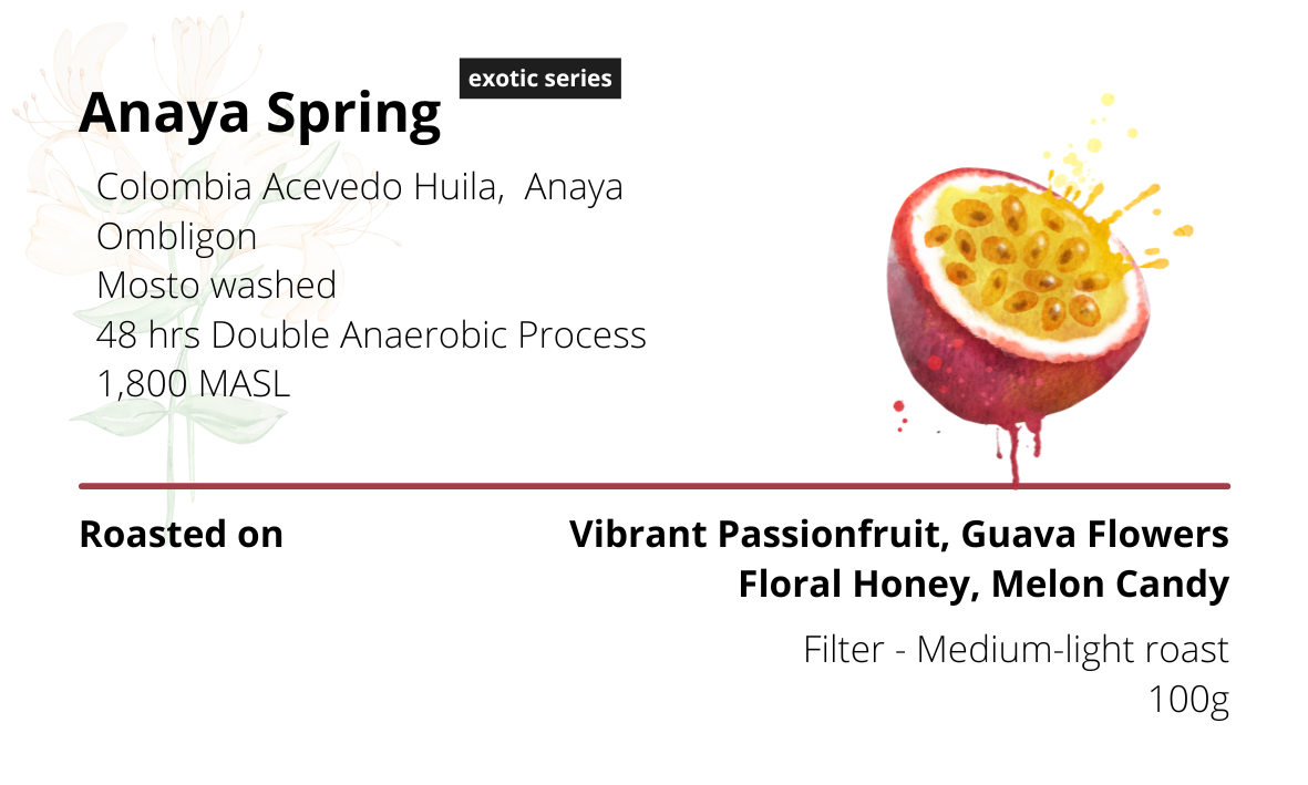 Anaya Spring Ombligon