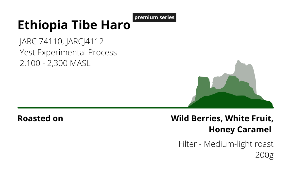 Ethiopia Tibe Haro