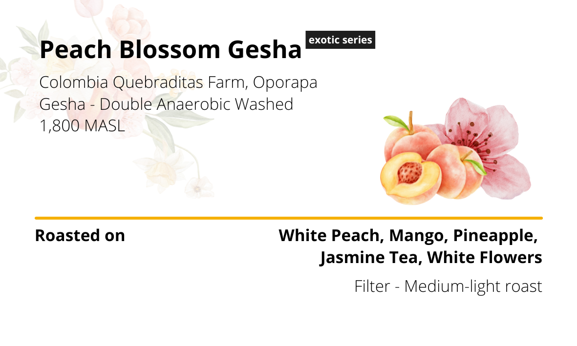 Peach Blossom Gesha