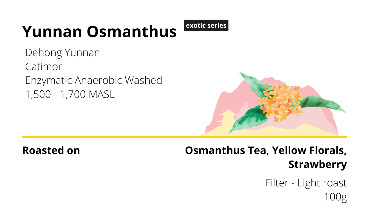 Yunnan Osmanthus