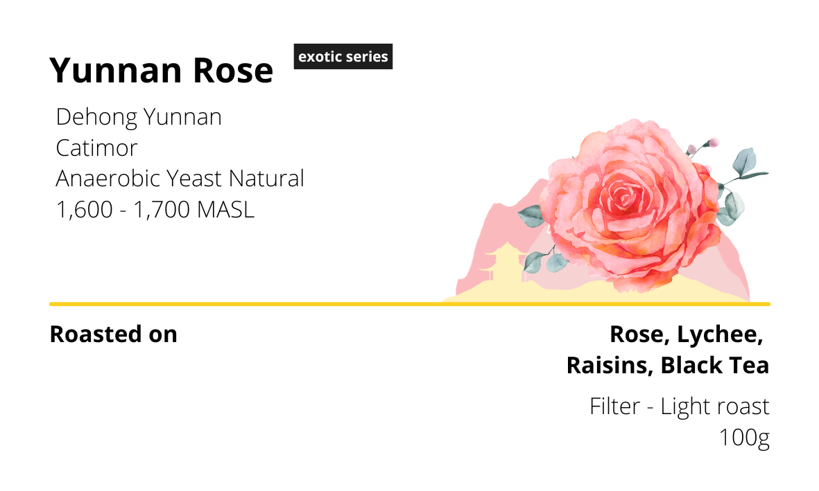 Yunnan Rose