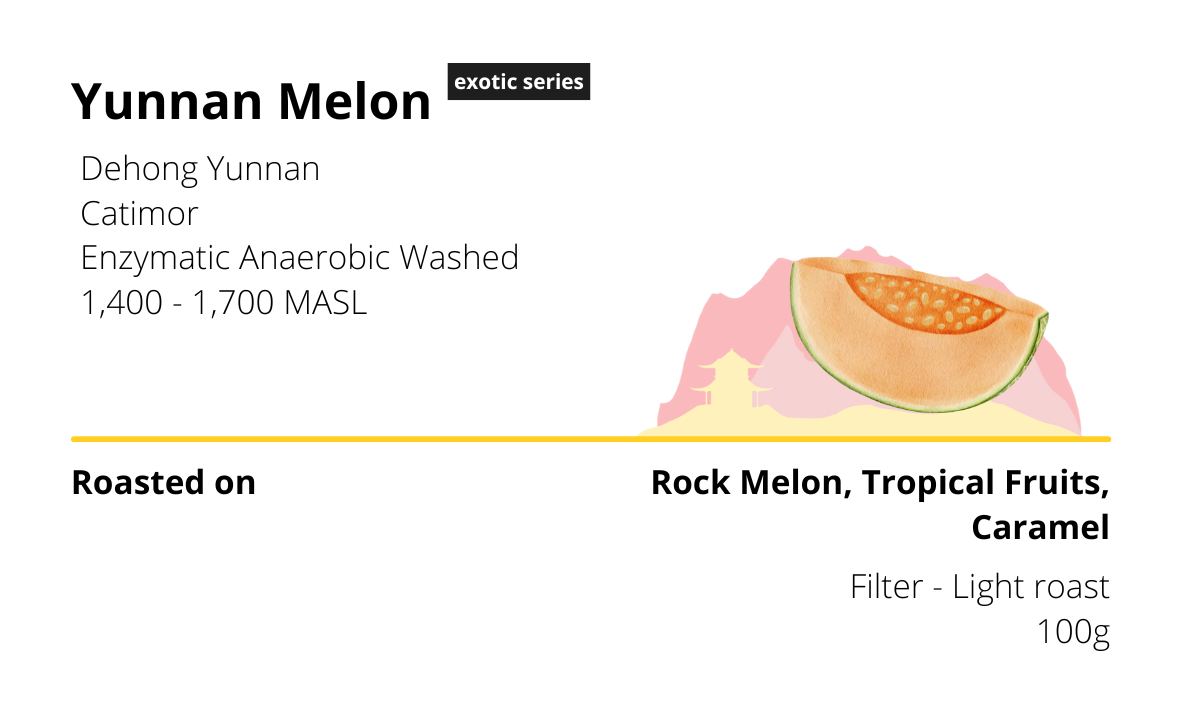 Yunnan Melon