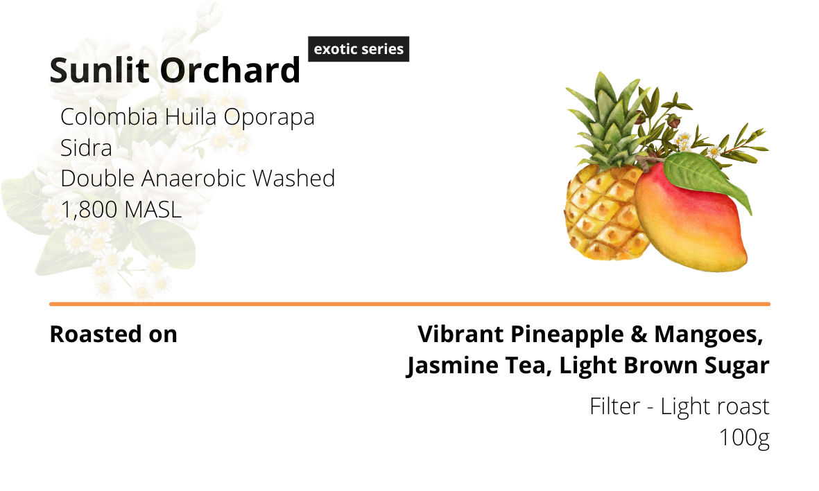 Sunlit Orchard Sidra