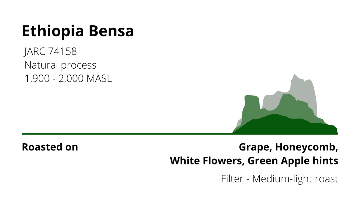 Ethiopia Bensa