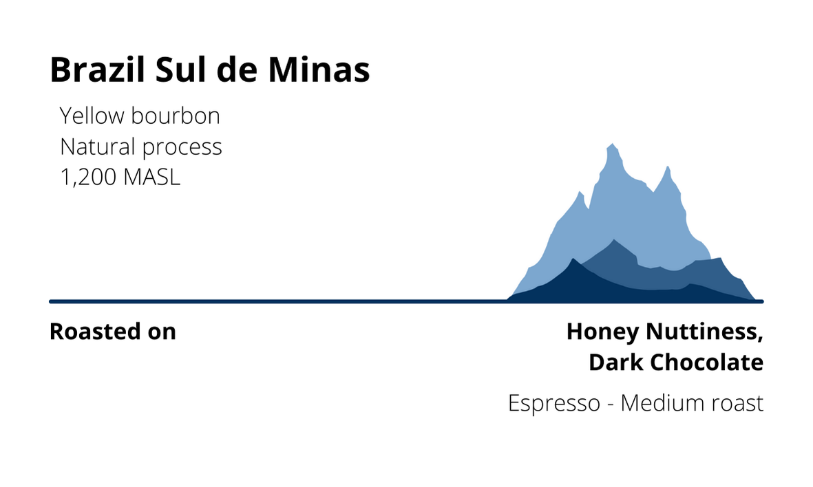 Brazil Sul de Minas