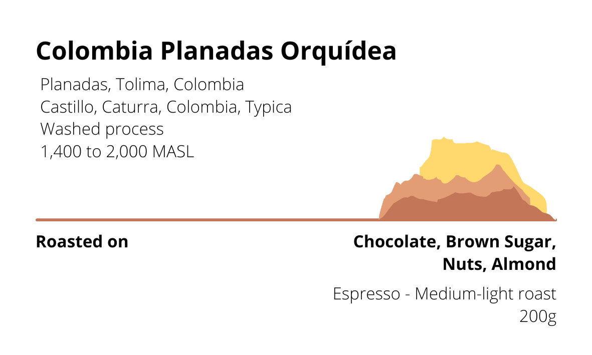 Colombia Planadas Orquídea
