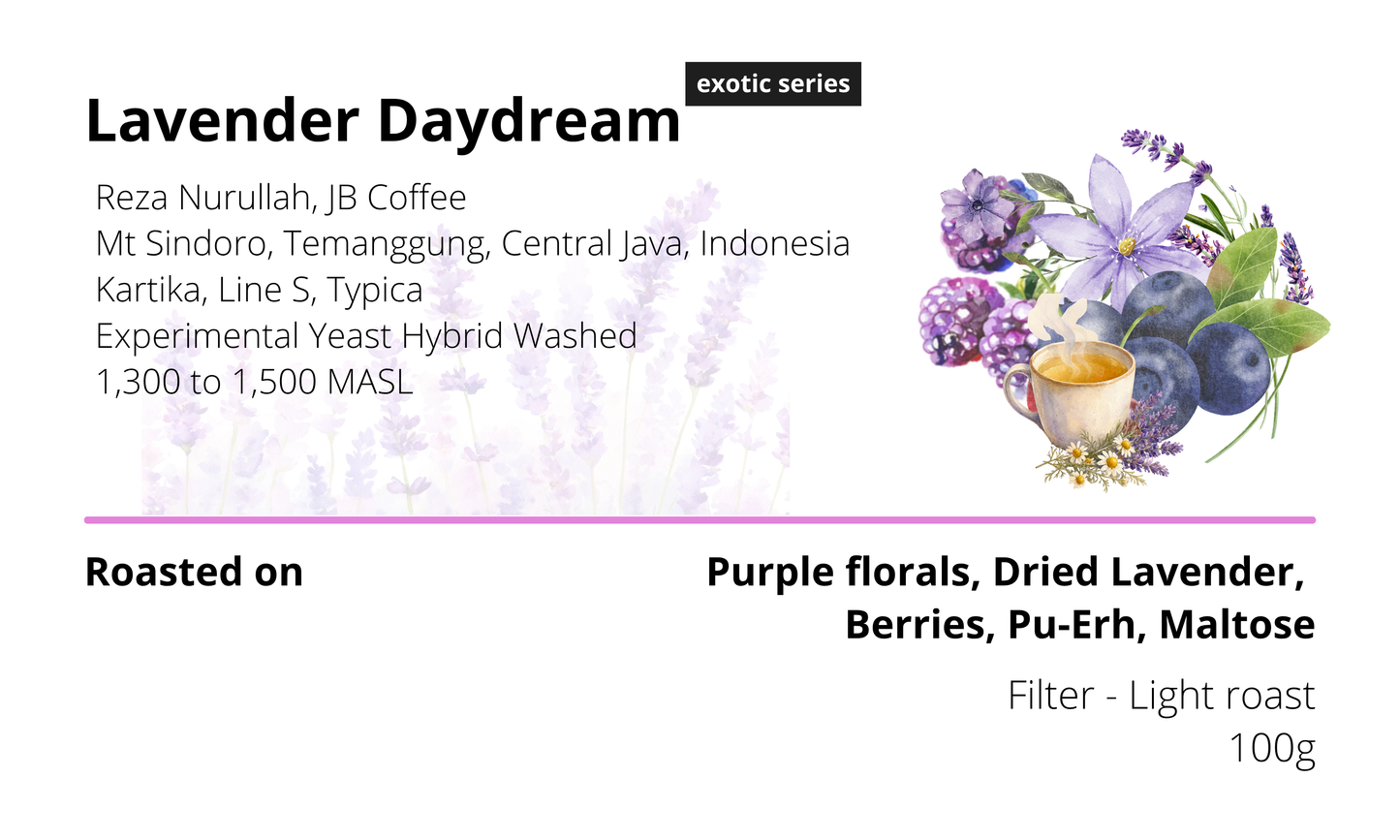 Lavender Daydream