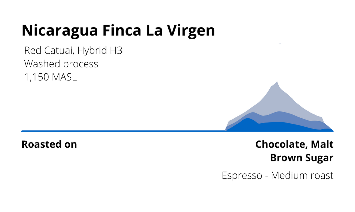 Nicaragua Finca La Virgen