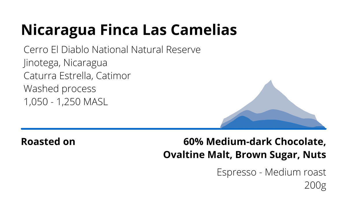 Nicaragua Finca Las Camelias