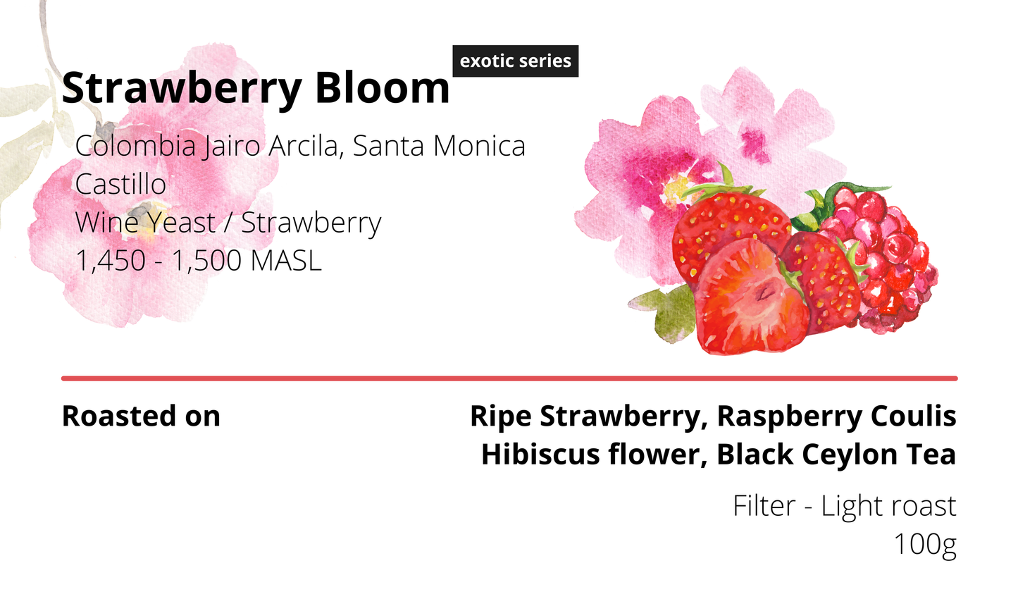 Strawberry Bloom