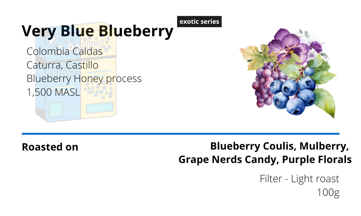 Very Blue Blueberry