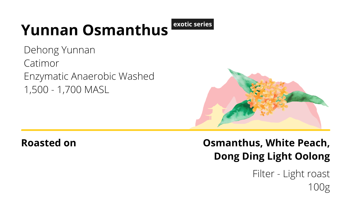 Yunnan Osmanthus