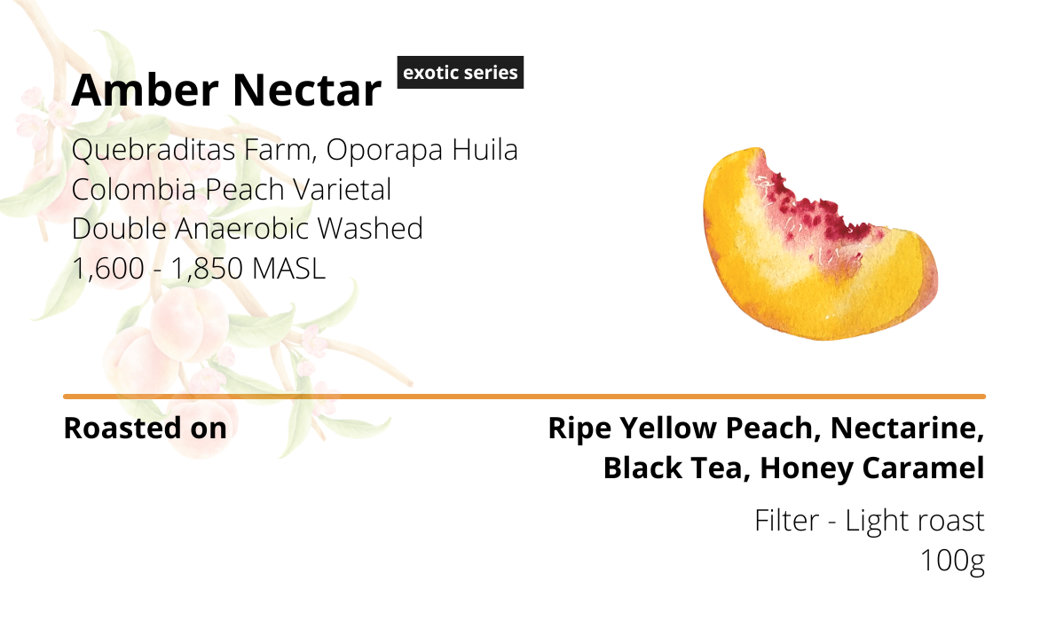Amber Nectar Quebraditas