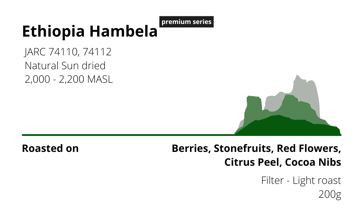 Ethiopia Hambela